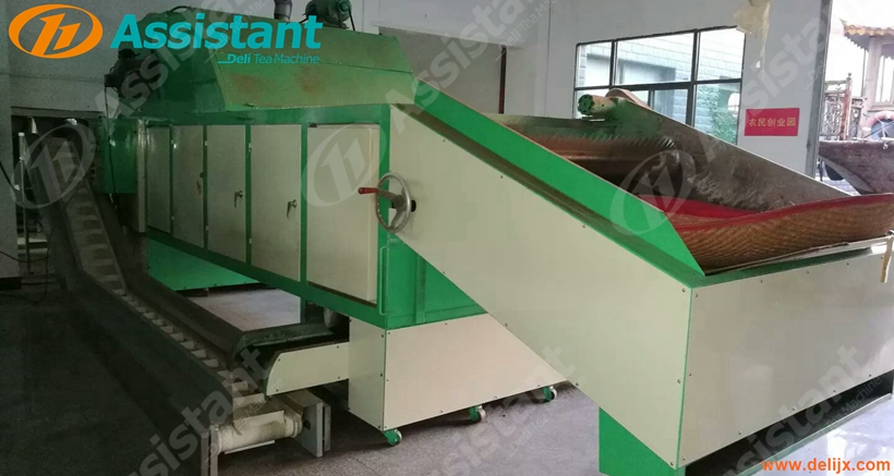 Chain Plate Continuous Belt Type Tea Leaf Dryer Machine Manufacturer 6CHL-CY