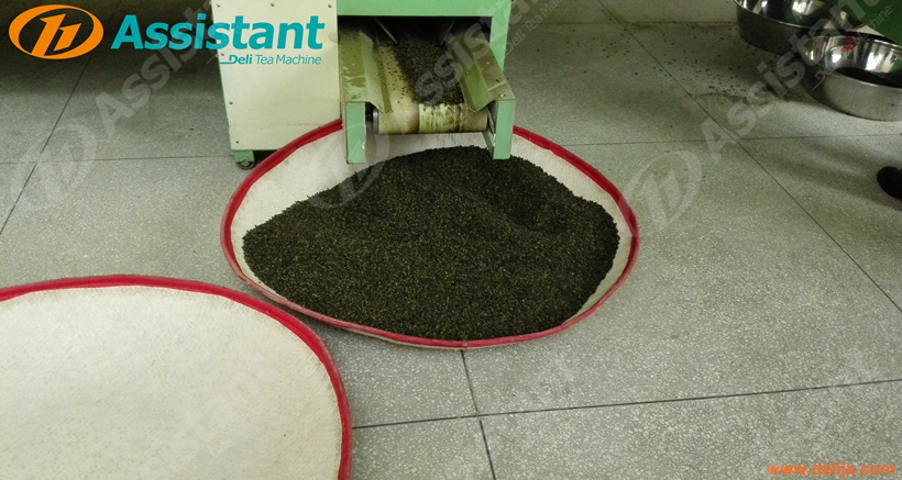 Chain Plate Continuous Belt Type Tea Leaf Dryer Machine Κατασκευαστής 6CHL-CY