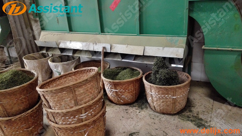 Mașină de sortare a procesului de sortare a frunzelor de ceai Producător din China 6CFX-40
