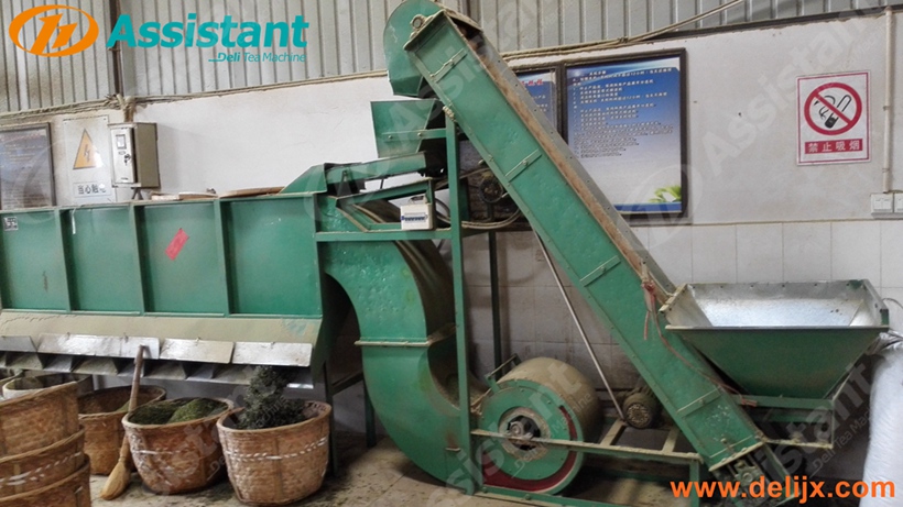 Máquina de proceso de clasificación do clasificador de follas de té Fabricante de China 6CFX-40
