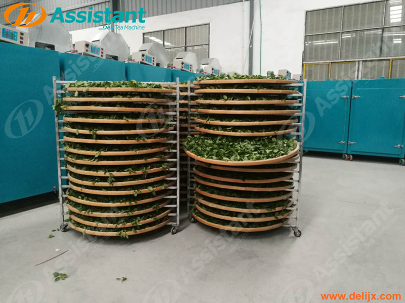 Bamboo Tea Leaf Wither Rack Withering Plate සැපයුම්කරු DL-TQJ-20