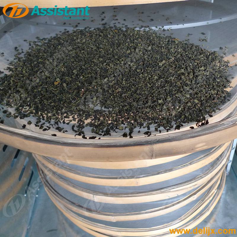 Small Mini Tea Leaves Dryer Machine Green/Black/Oolong Tea Processing Drying Machine 6CHZ-6