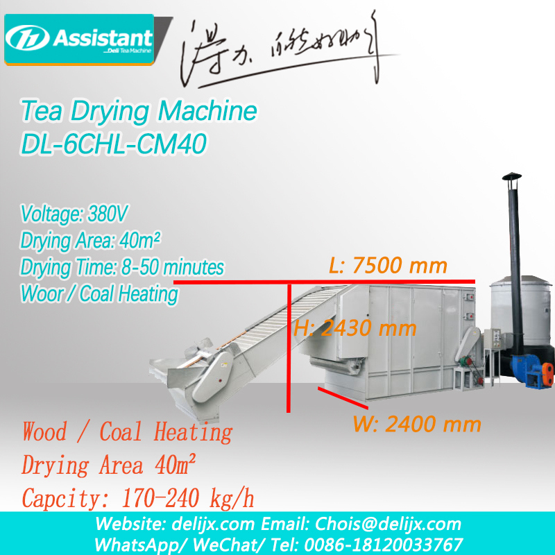 Te Rakau Me Te Waro Whakawera Chain Plate Momo Tea Dryer Machine China Manufacturer 6CHL-CM