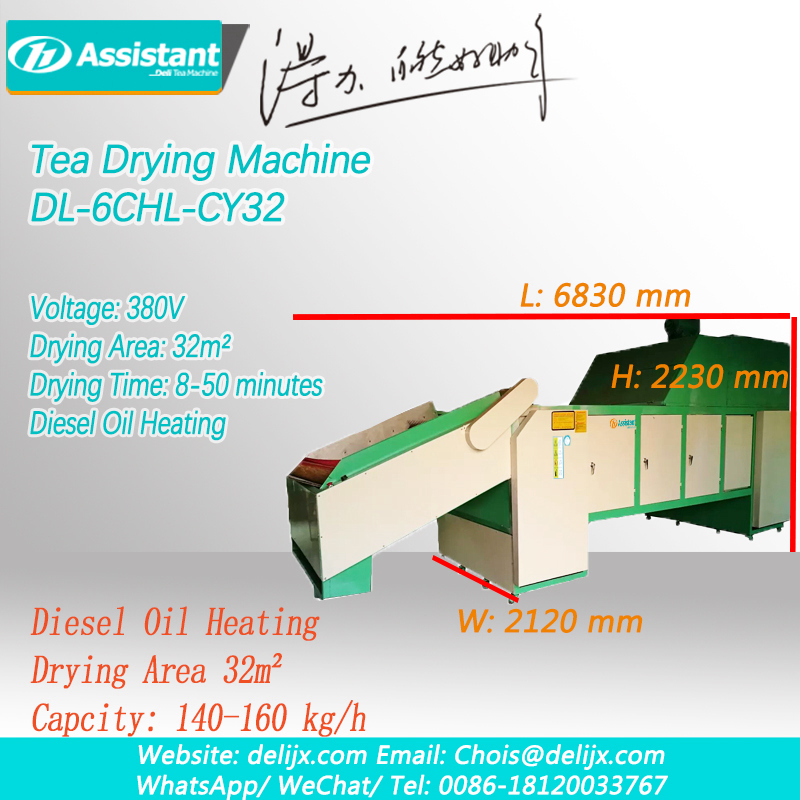 Chain Plate Continuous Belt Type Tea Leaf Dryer Machine Manufacturer 6CHL-CY