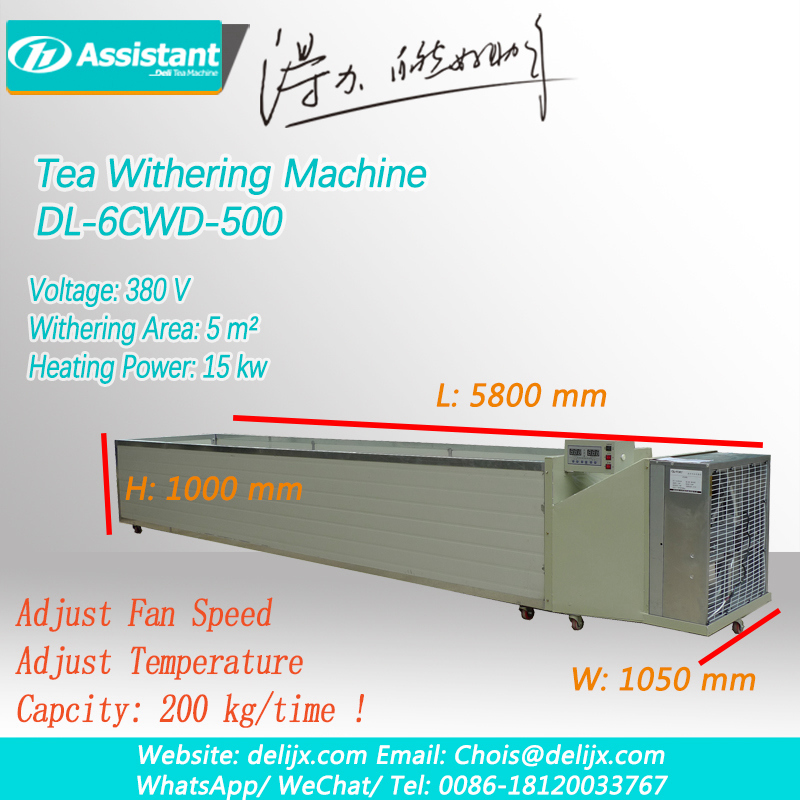 Máquina de procesamento de té negro, provedor de máquinas de marchitamento de follas de té DL-6CWD-500