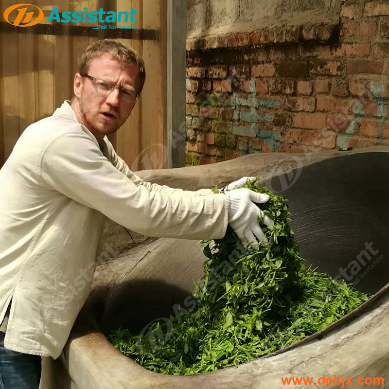 Πράσινο τσάι Hand Firing Frying Machinery Tea Leaf Hand Roasting Panning Processing Equipment 6CSG-60B