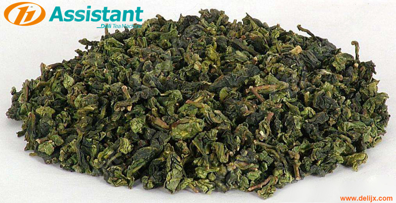 Máquina formadora de té Oolong tipo granular TieGuanYin Máquina de laminación para envolver lona DL-6CSBG-20