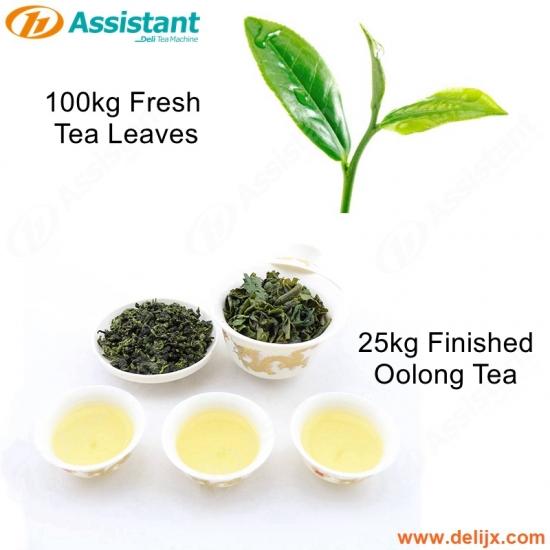 25kg Balled Granular Finished Oolong Tea Tieguanyin Tea Processing Machine