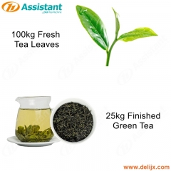25kg Finished Green Tea 100kg Fresh Green Tea Processing Production Machine