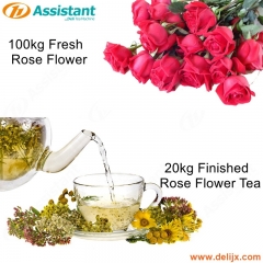 20kg Finished Rose Flower Tea Drying Processing Machine 100kg Fresh Tea Drying Machine