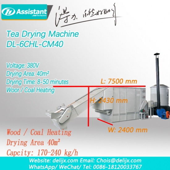 Belt Type Wood And Coal Heating Continuous Tea Leaf Dryer Equipment