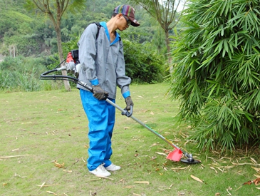 Brush Cutter