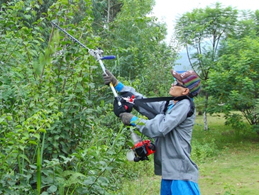 High Branch Saw