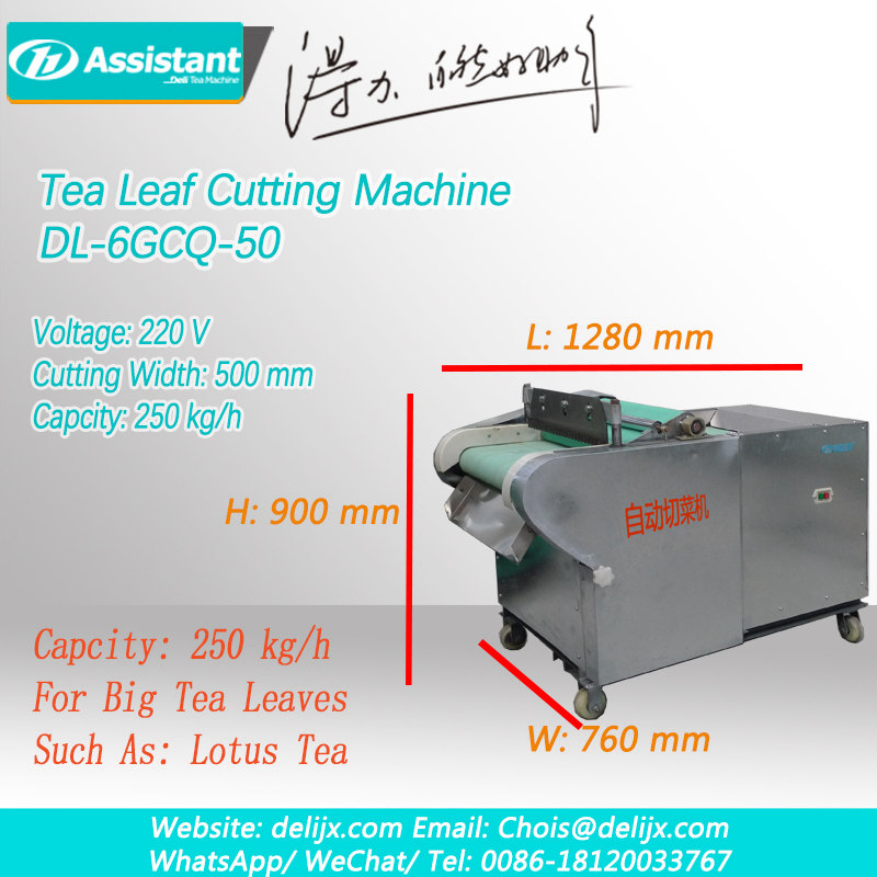 Green Tea Leaf Cutter Machine Tea Leaves Shredder Lotus leaf cutting machine DL-6GCQ-50